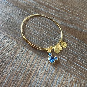 Alex and Ani Bracelet
